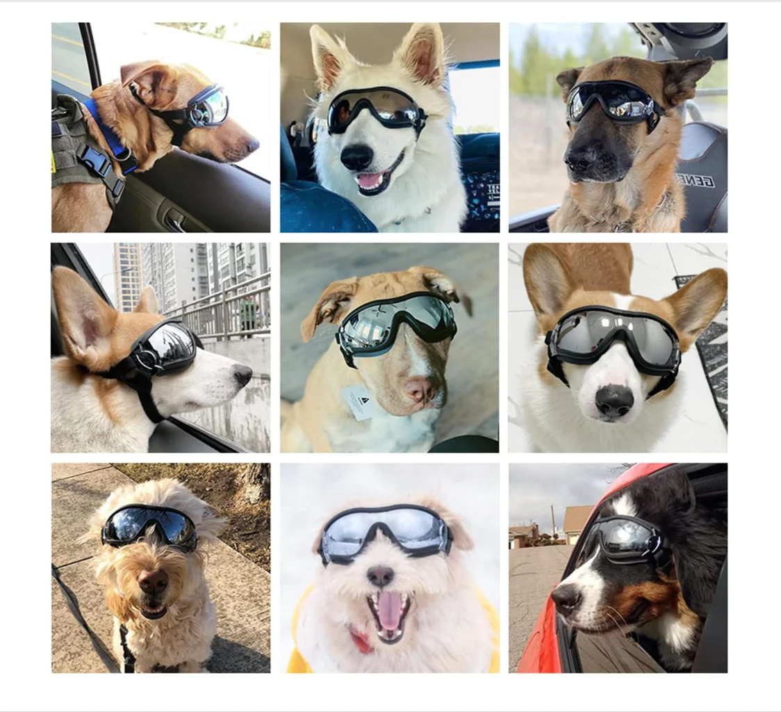 CapturadePantalla2022-05-30ala_s_12.54.26_1024x1024@2x