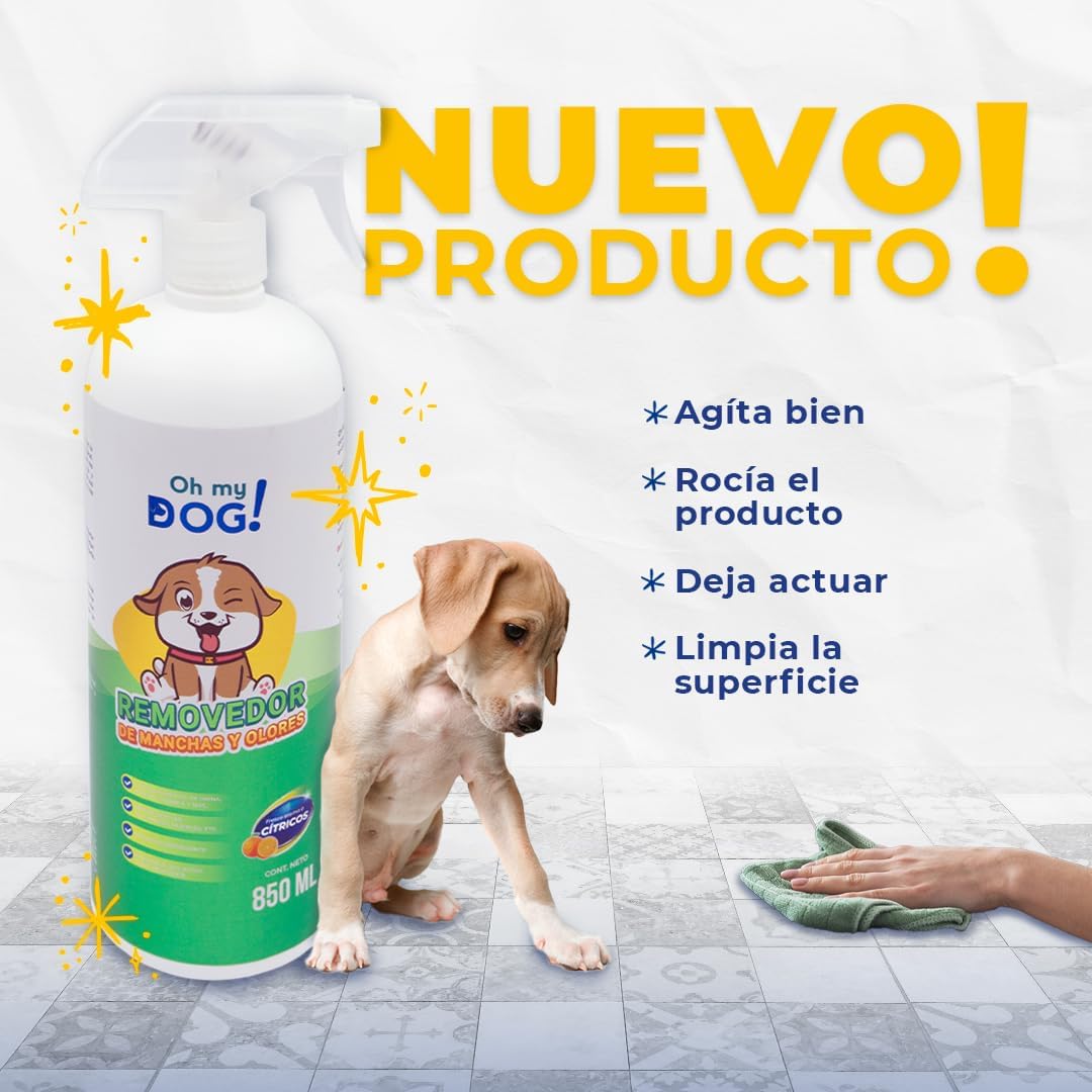 612+CSXW7DL._AC_SL1080_