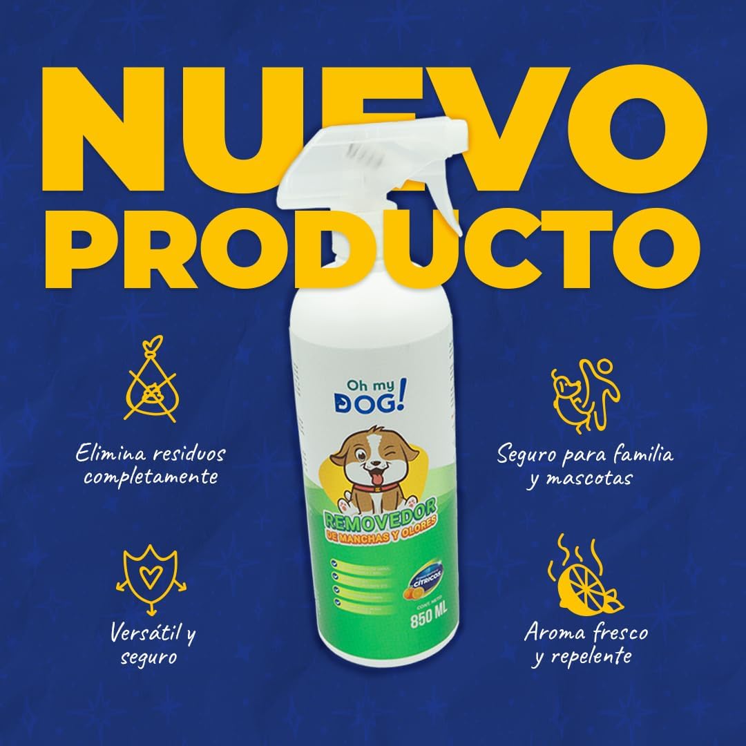 61C3OFdzlZL._AC_SL1080_